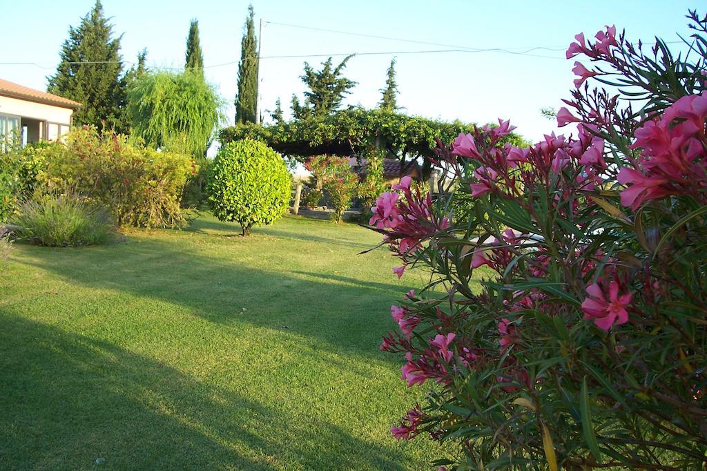 Agriturismo Il Grillo Parlante Pitigliano Exterior photo
