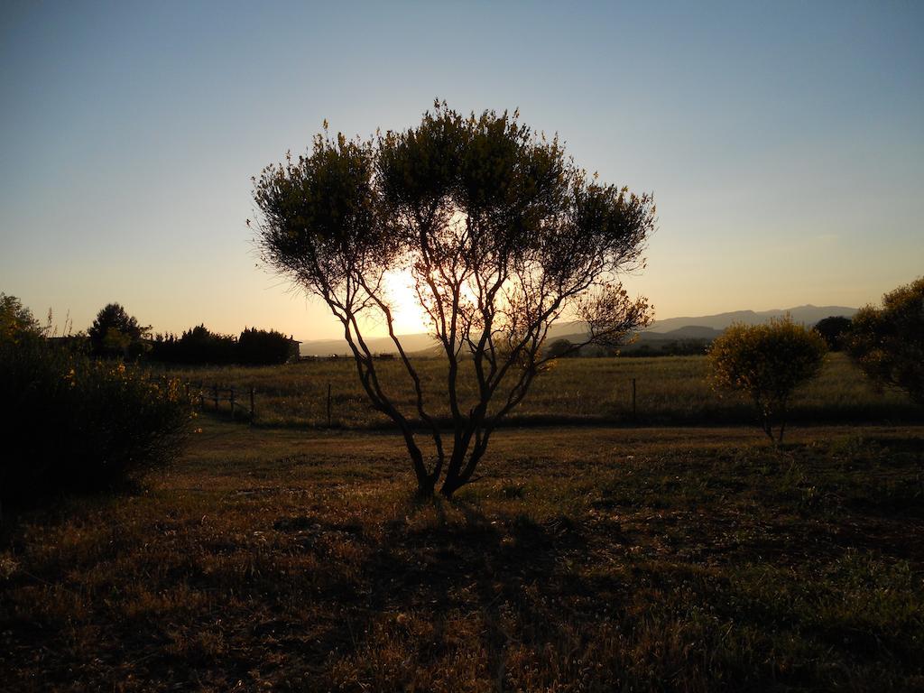 Agriturismo Il Grillo Parlante Pitigliano Exterior photo