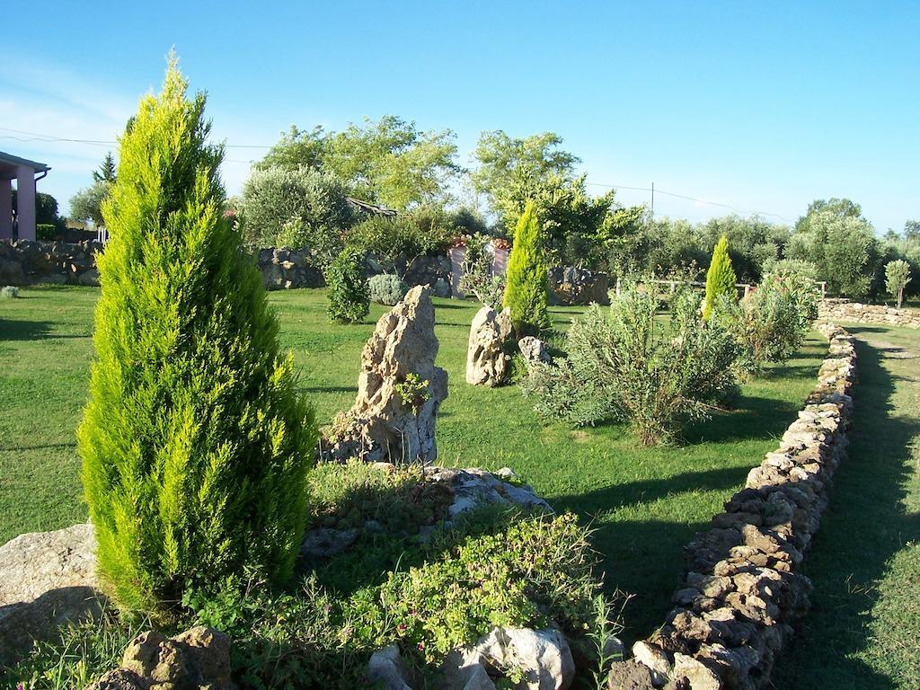 Agriturismo Il Grillo Parlante Pitigliano Exterior photo